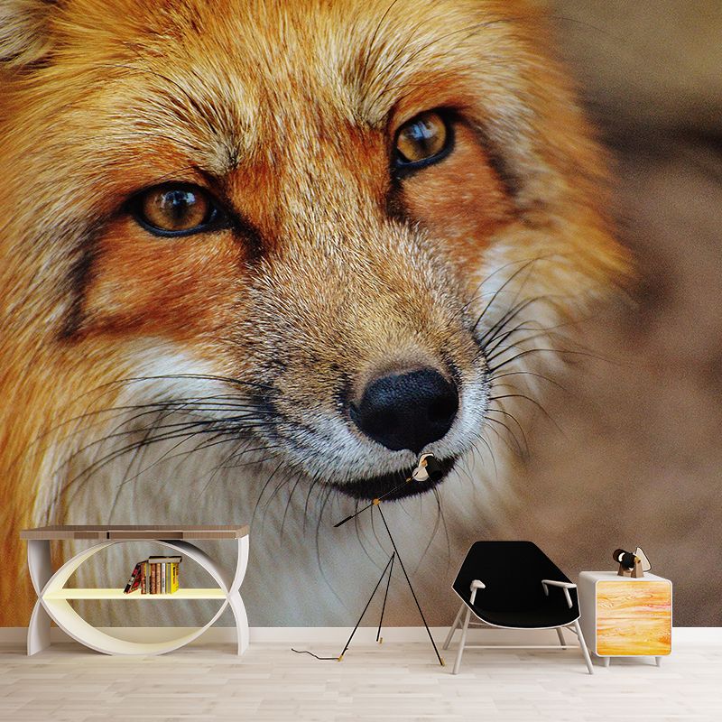 Photography Wall Mural Wild Animals Contemporary Wall Decor for Living Room