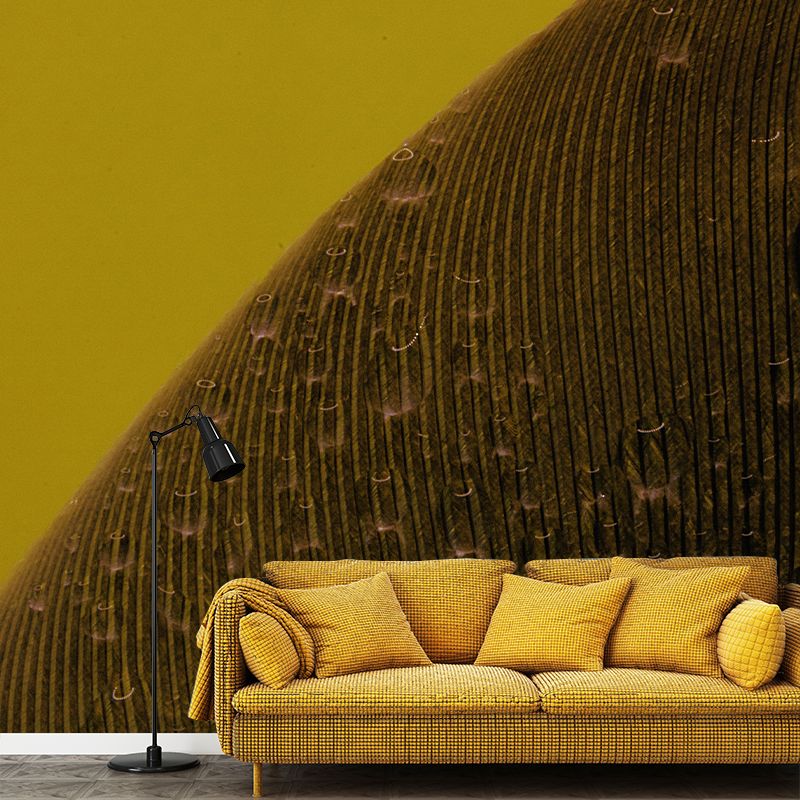 Horizontal Photography Feather Mural Eco-friendly Decorative Wallpaper Home Decor