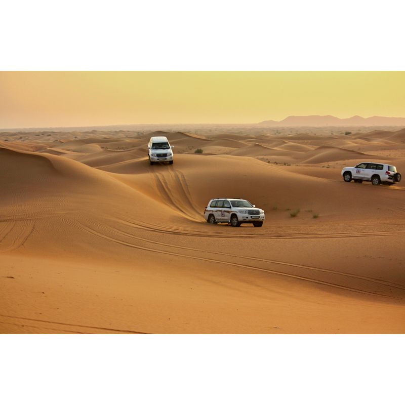 Desert Driving Adventure Mural Wallpaper Modern Moisture Resistant Boys Room Wall Art, Custom