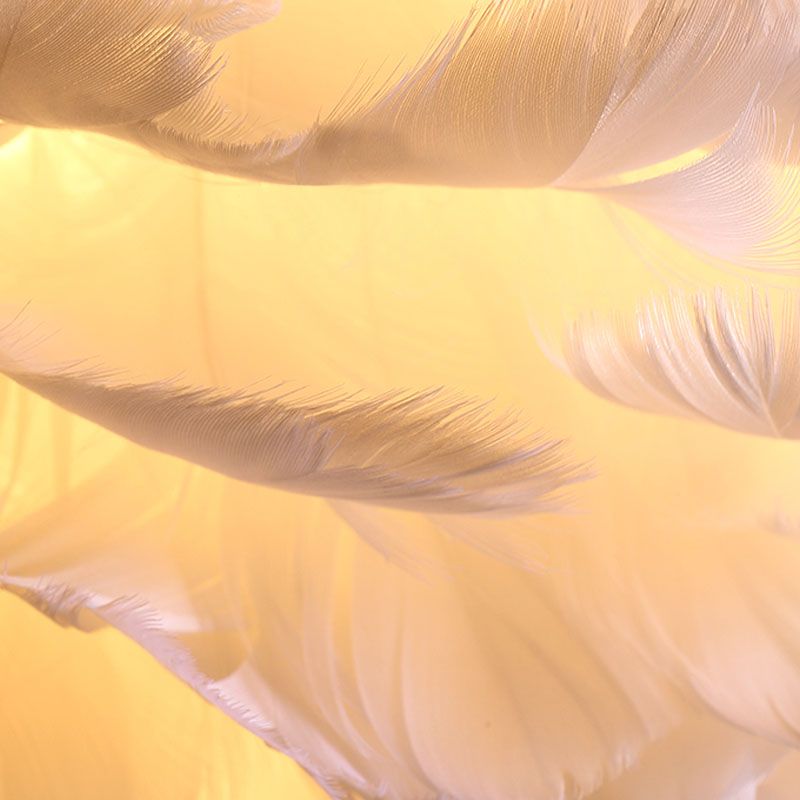 Luminaires de lustre Globe Chandelier Multi-Head Primp à lustre blanc avec une teinte en plumes