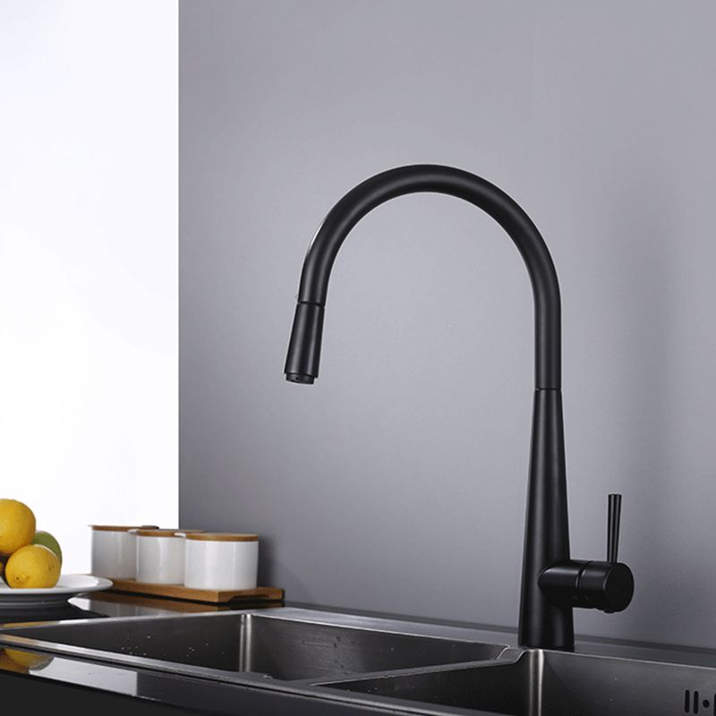 Modern Pull Out One Handle Kitchen Faucet Low Profile Filler with Sprayer