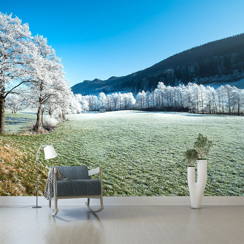Winter Forest Scenery Wall Mural Contemporary Home Decor for Sitting Room