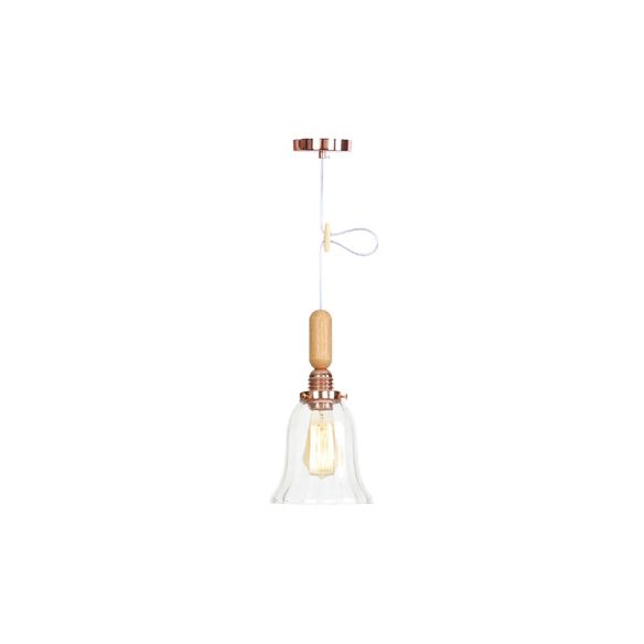 Globe/Cone/Small Bell Pendant Lighting Vintage Clear Glass 1 Licht Roségoud/Chrome hangende lamp met verstelbaar koord