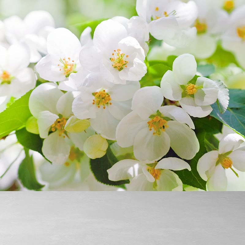 Photography Flower Landscape Wall Mural for Living Room, Pink, Custom Size Available