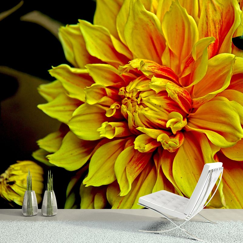 Dahlia Wall Covering for Accent Wall Water Resistant Mural, Custom Size Available