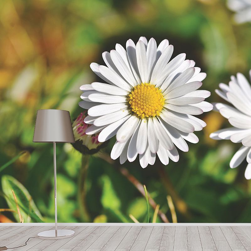 Modern Daisy Mural Wallpaper Stain Resistant Wall Covering for Living Room