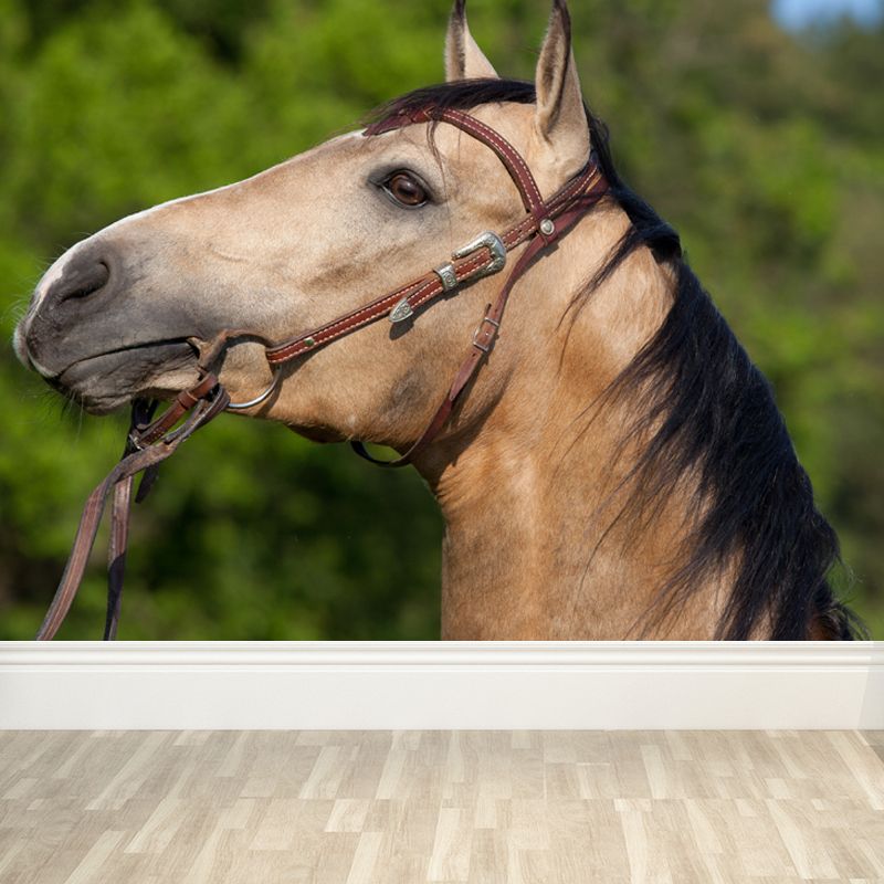 Large Tall Horse Mural Decal Contemporary Tameable Animals Wall Covering in Brown