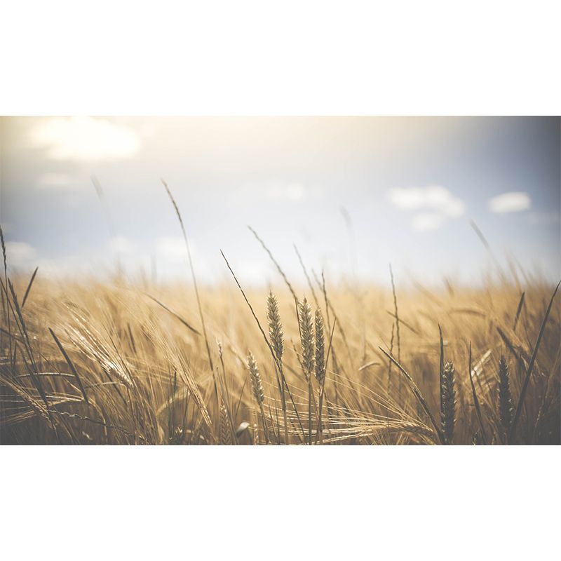 Wheat Field Resistant Mural Wallpaper Environment Friendly Sleeping Room Wall Mural