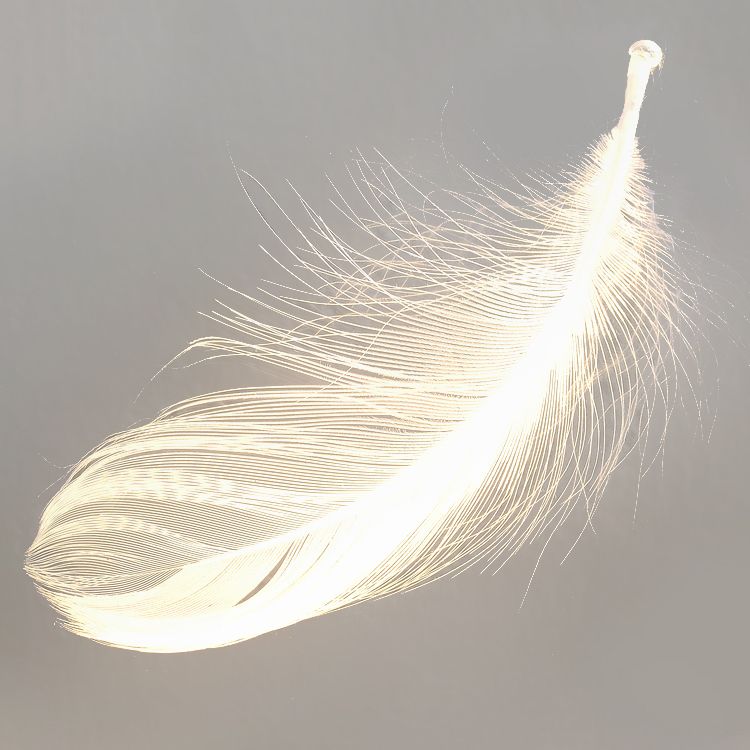 Metal Cloud Wall Lighting Fixtures Modern Style 1 Light Wall Lamps