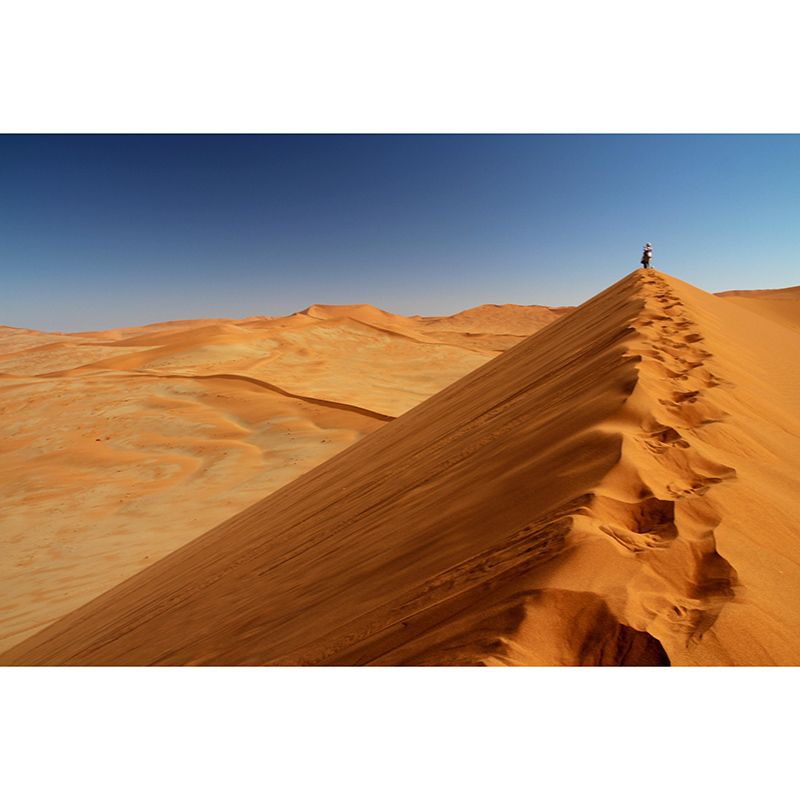 Sitting Room Wall Mural Wallpaper Modern Desert Mildew Resistant Wall Decor