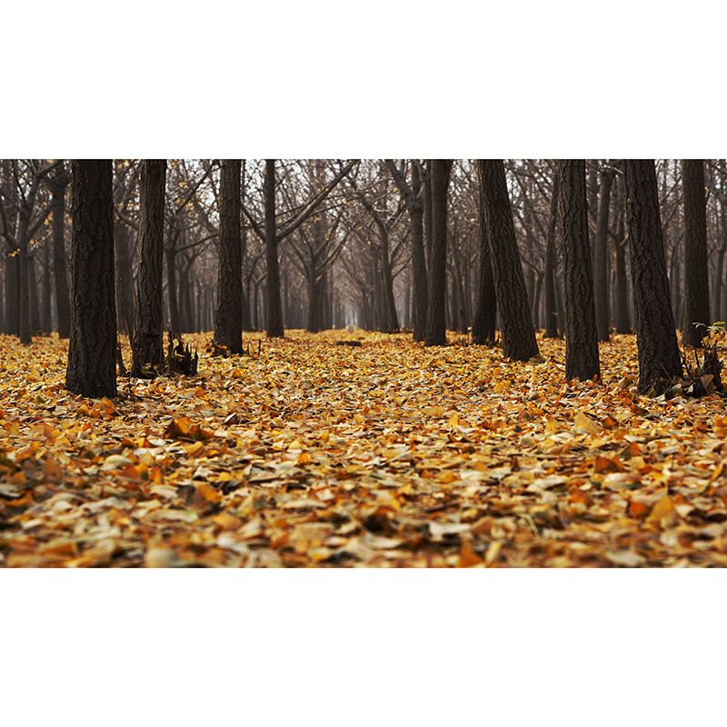 Photography Environmental Wall Mural Forest Stain Resistant Home Wall Mural