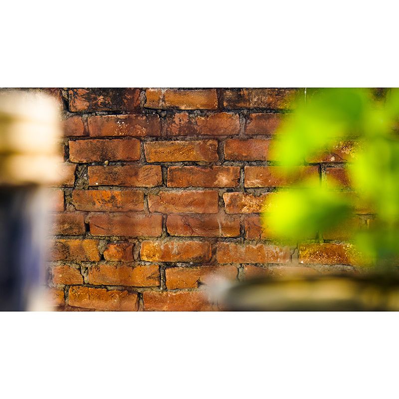 Environmental Photography Mural Wallpaper Brick Wall Indoor Wall Mural