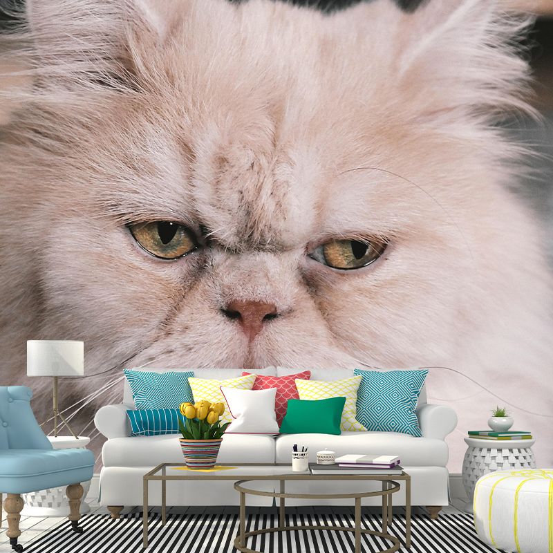 Horizontal Photography Persian Cat Mural Stain Resistant Wall Art for Living Room