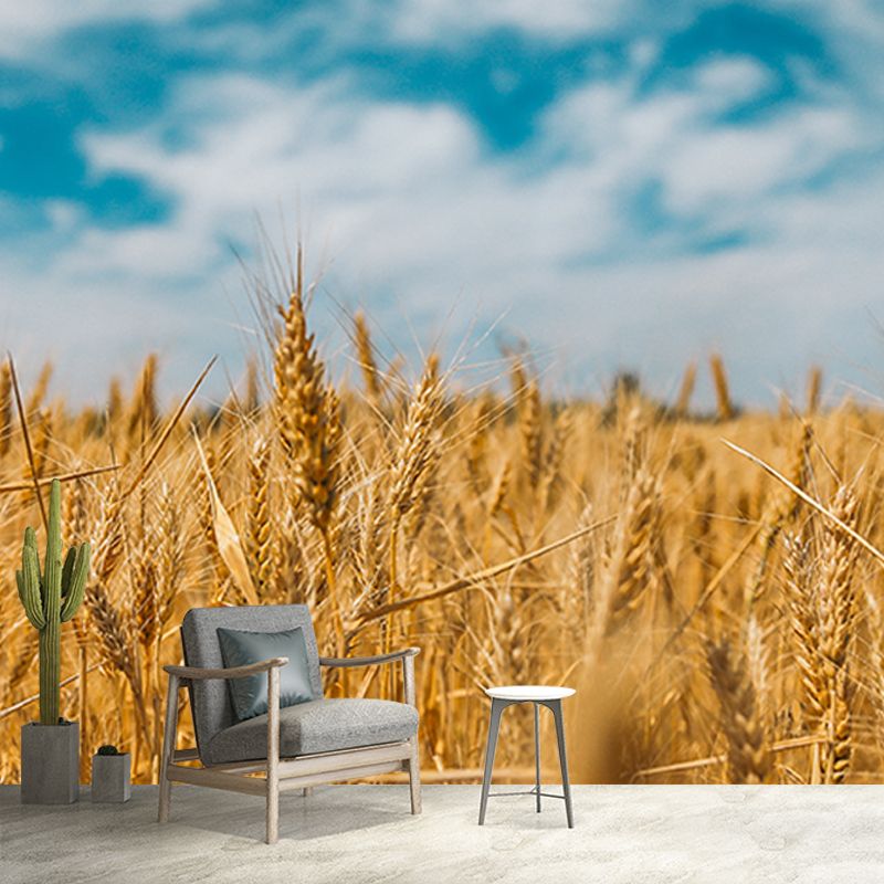 Beautiful Photography Mural Wallpaper Wheat Field Indoor Wall Mural