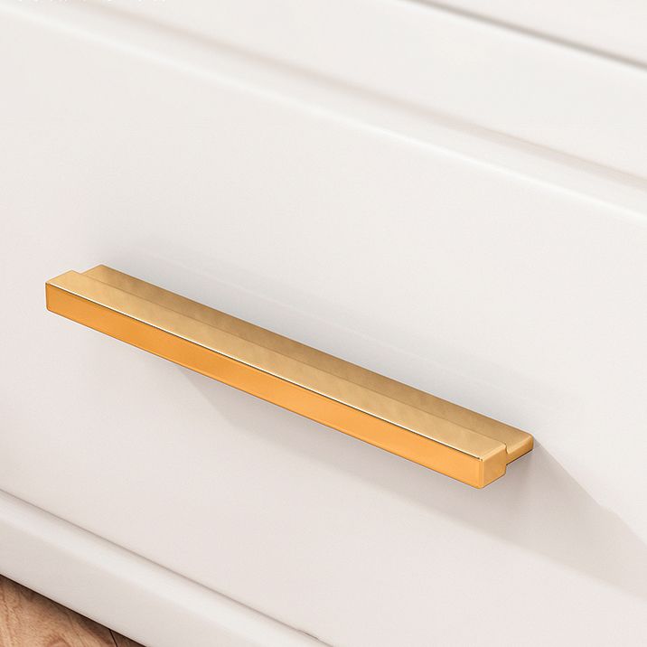 Plastic Matte Finish Storage Cabinet Contemporary Hinged Door Cabinet