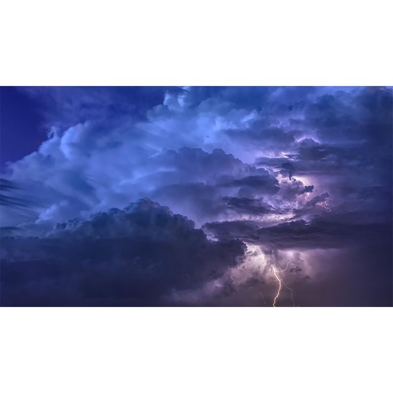 Stain Resistant Photography Wallpaper Drawing Room Mural Wallpaper