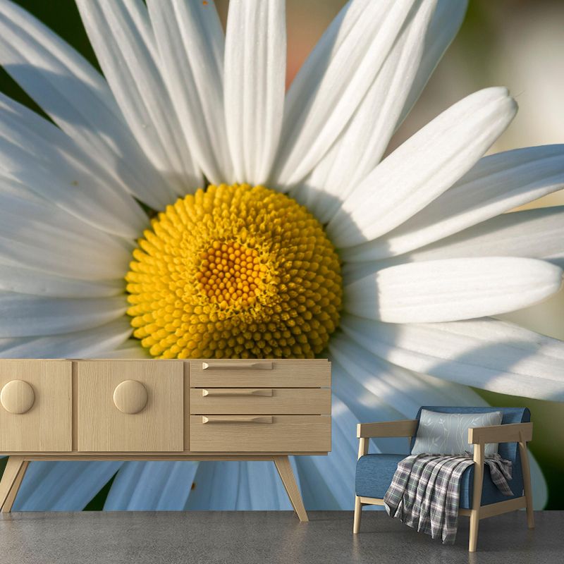 Customized Close Up Daisy Mural Environment Friendly Wallpaper for Guest Room