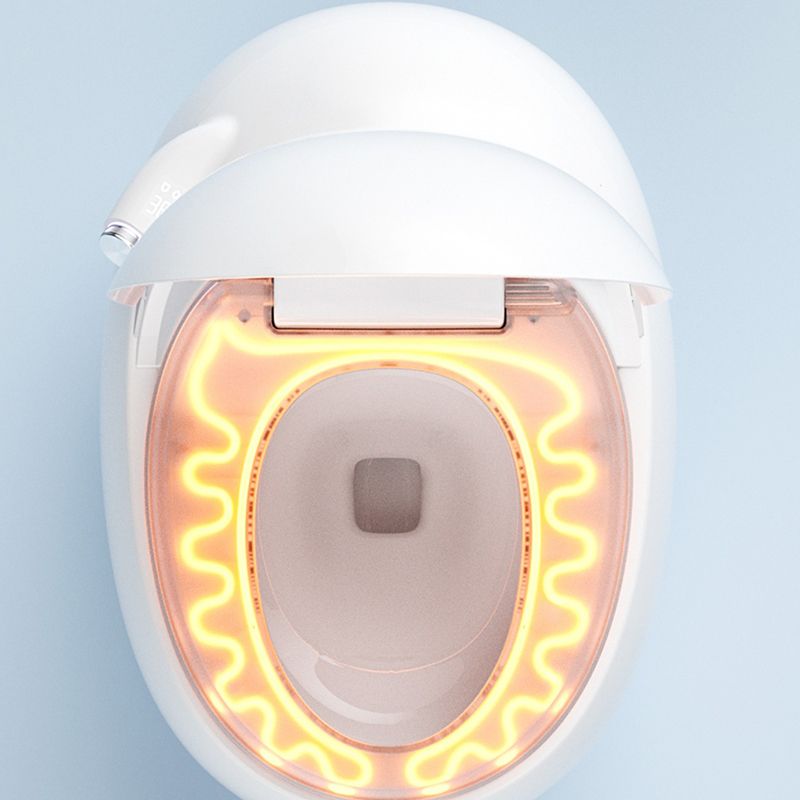 Elongated Floor Mount Bidet Egg Shaped Antimicrobial Smart Bidet