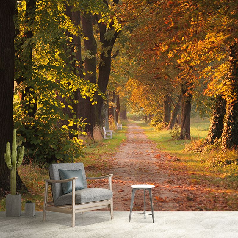 Autumn Forest Scenery Mural Wallpaper Wall Decor Waterproof, Home Decor