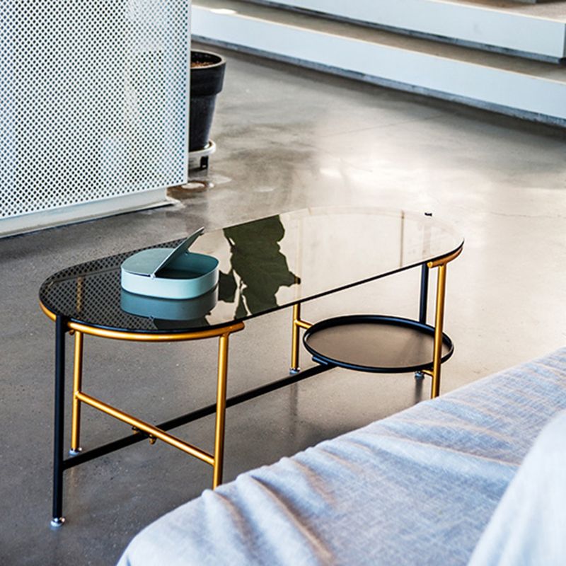 Modernism Elliptical Glass Top Coffee Cocktail Table with Shelf