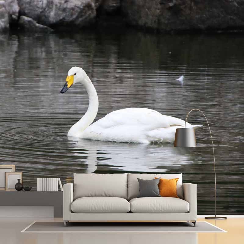 Customized Swan Wall Mural Environment Friendly Wallpaper for Guest Room Decoration