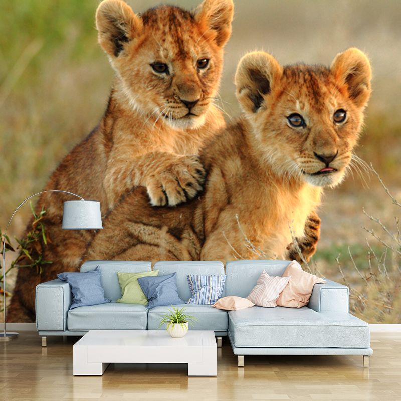 Cute Young Lions Wall Mural for Accent Wall Wild Animal Print Wall Decor, Made to Measure