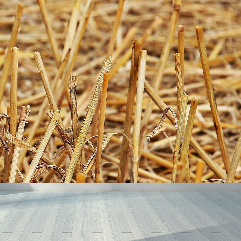 Photo Print Straws Wall Mural Decal for Dining Room, Light Color, Custom Size Available