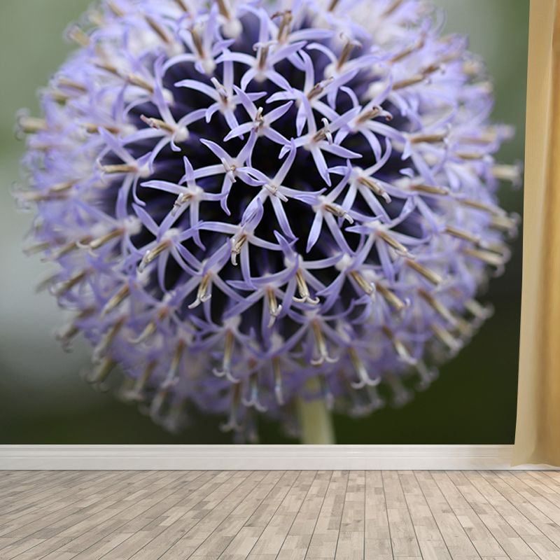 Globe Thistle Full Size Wall Covering for Living Room Plant Mural, Moisture-Resistant