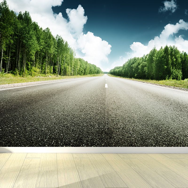 Highway Scene Mural Wallpaper Modern Non-Woven Cloth Wall Covering in Soft Color