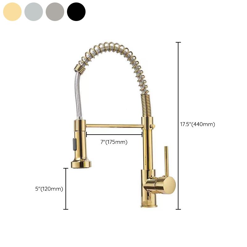 Modern 1-Handle Faucet Spring Spout with Water Dispenser Standard Kitchen Faucet