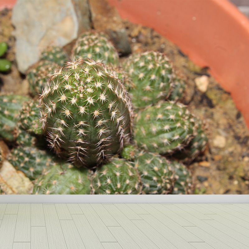 Tropical Green Plant Wall Mural for Bar Decoration Waterproof, Customized Size