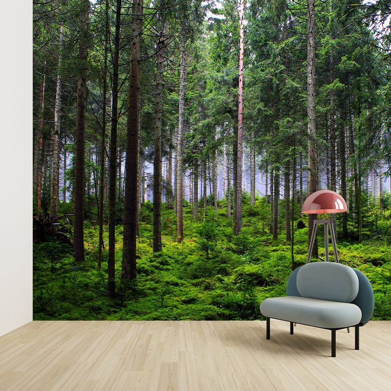 Green Forest Scenery Wallpaper Mural for Sitting Room, Made to Measure