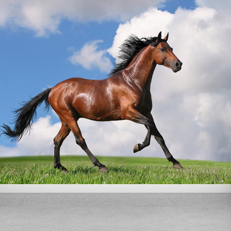 Giant Contemporary Wall Mural in Blue Steppe Horse Wall Covering, Made to Measure