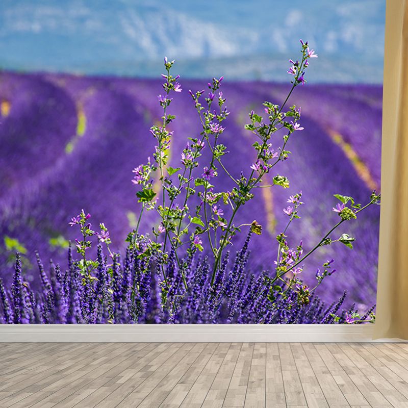 Purple Lavender Wall Mural Decals Home Decoration Sleeping Room Wall Decor
