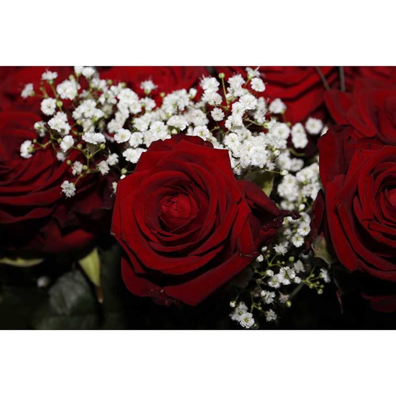 Elegant Rose Flower Mural Decal Girls' Bedroom Wall Covering, Personalized