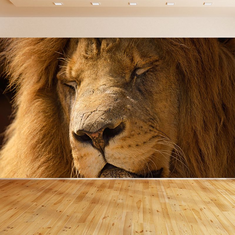 Modern Lion Face Portrait Mural Wall Decor Mildew Resistant Living Room Wall Mural for Wall Decor