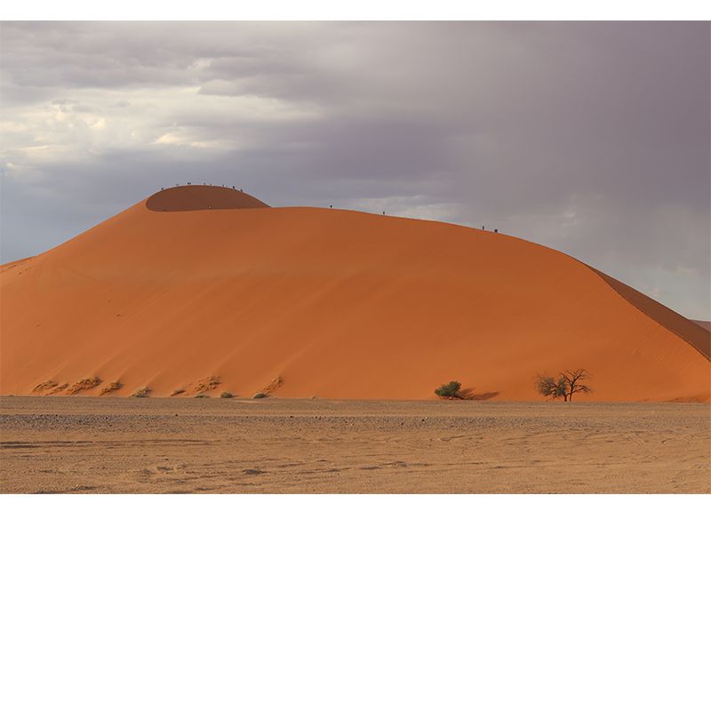 Photography Desert Mural Yellow Modernism Wall Decor for Living Room Bedroom