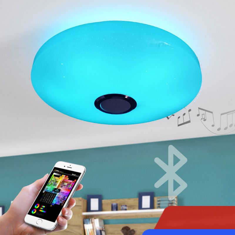 Ceiling Light Fixture Phone Control Light Bluetooth LED Light Living Room Light Indoor Light