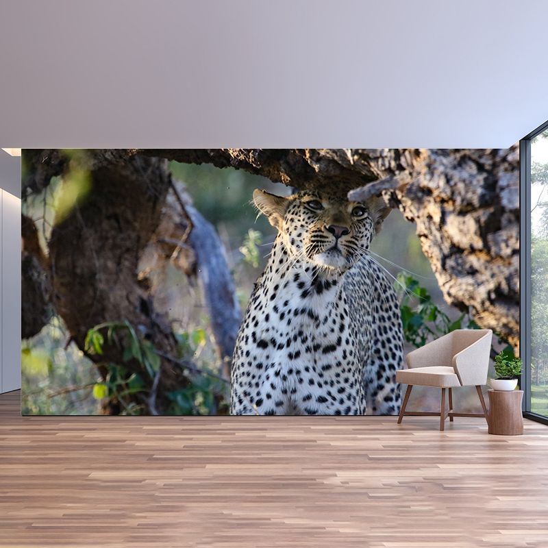 Creative Leopard Animal Wallpaper Mural Full Size Bedroom Decor Design