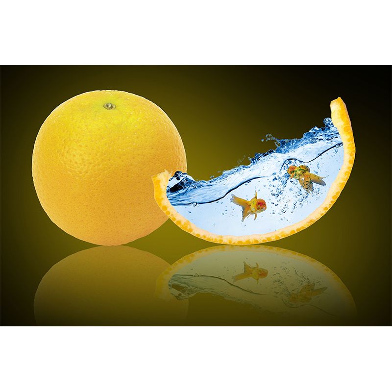 Environment Friendly Wallpaper Creative Photography Mildew Resistant Indoor Wall Mural