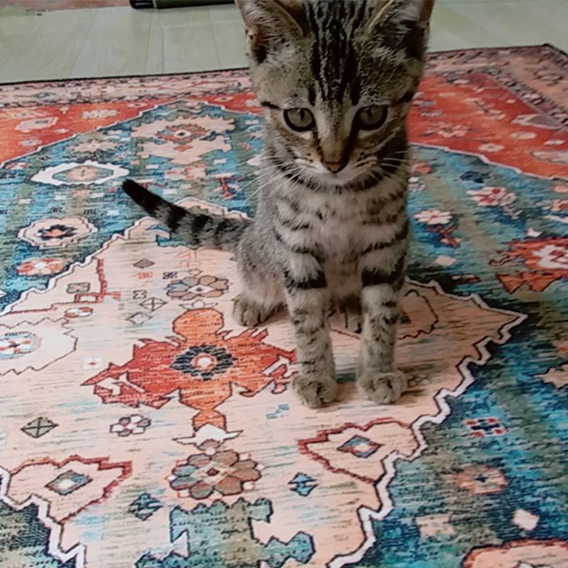 Boho Living Room Tapis à plaid multi-couleurs Synthétique à carreaux imprimés Synthétique non glissée