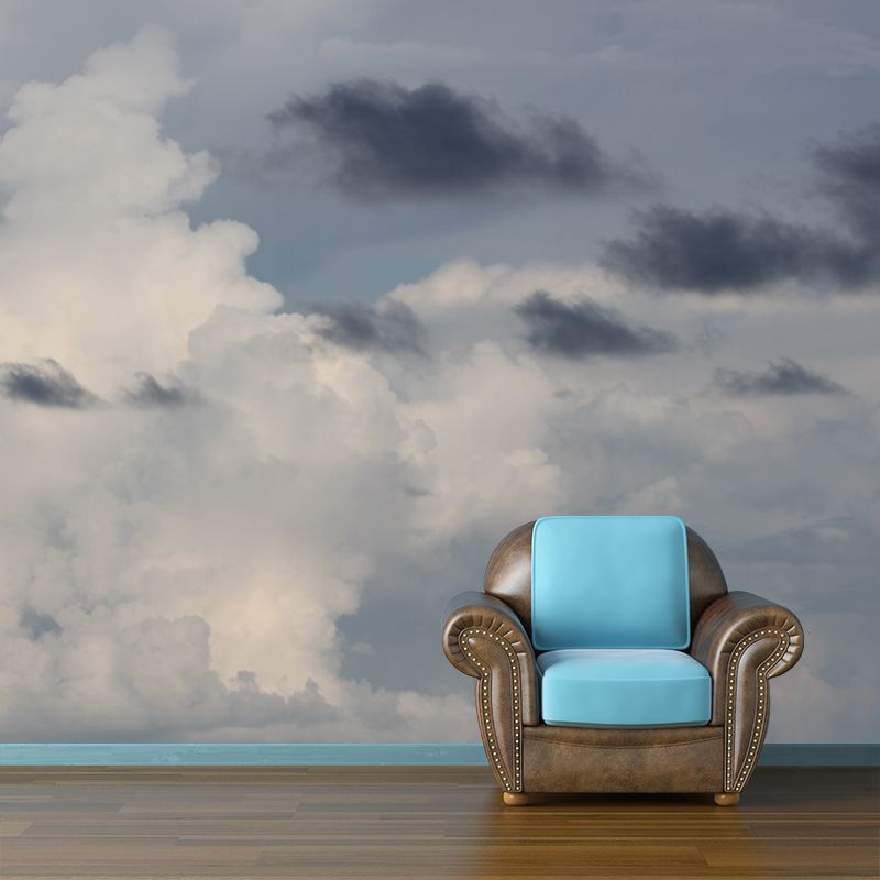 Sky Scenery Wall Murals Moisture Resistant Wall Covering for Living Room