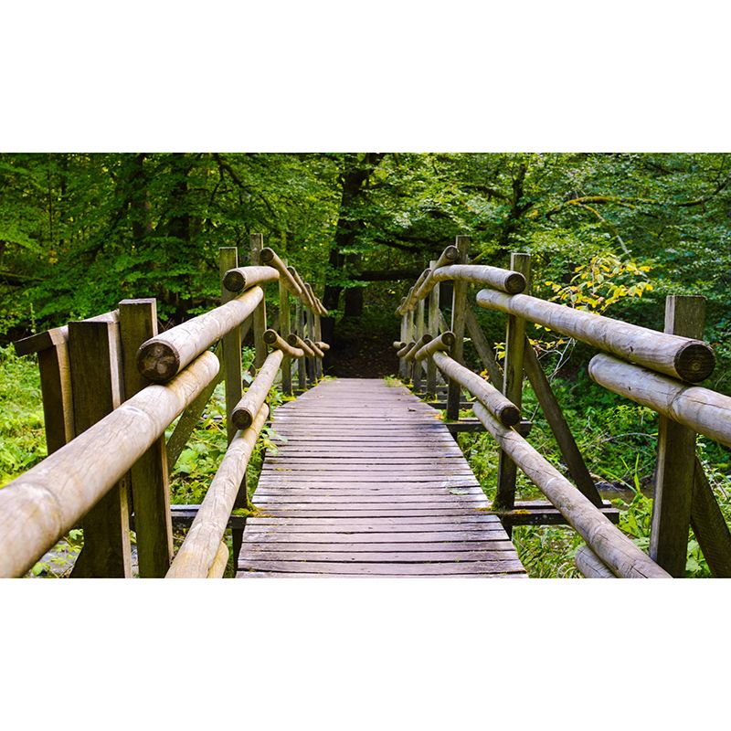 Environment Friendly Mural Wallpaper Industrial Style Space Extension Mural for Decoration