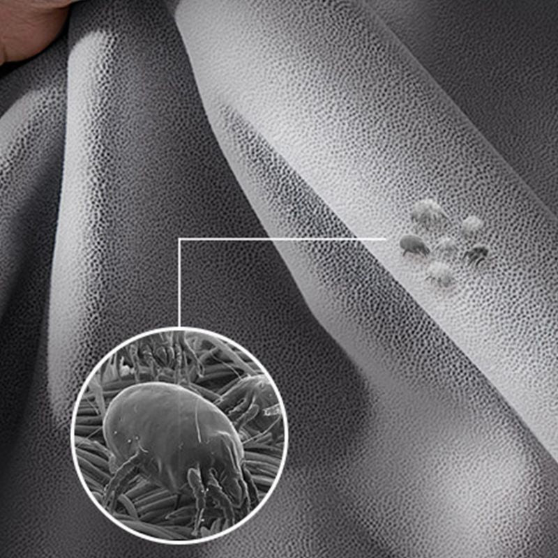 Contemporary Convertible Sofas Cushion Back Futon Sleeper Sofa Bed