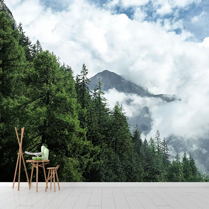 Natural Scene Contemporary Style Forest Mural Horizontal Photography Room Wall Mural