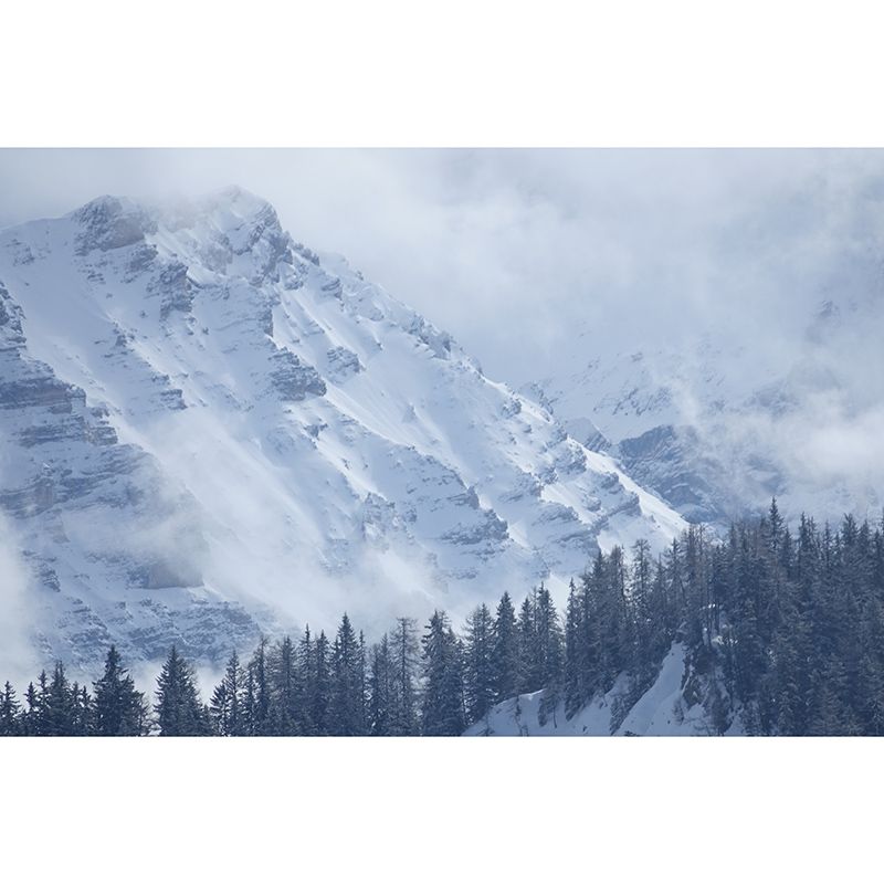 Mountain Mural Decal for Sitting Room Customized Wall Covering, Water Resistant