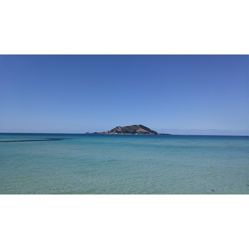 Customized Sea Pattern Wall Mural Decal Moisture Resistant for Sleeping Room