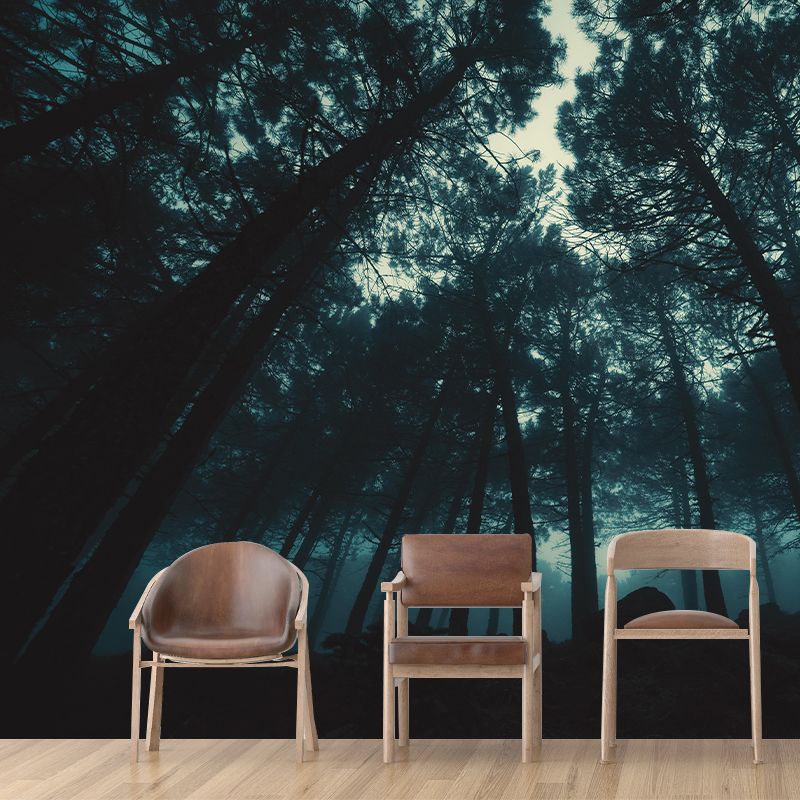 Forest Landscape Wall Mural Contemporary Decorative Wall Murals for Bedrooms