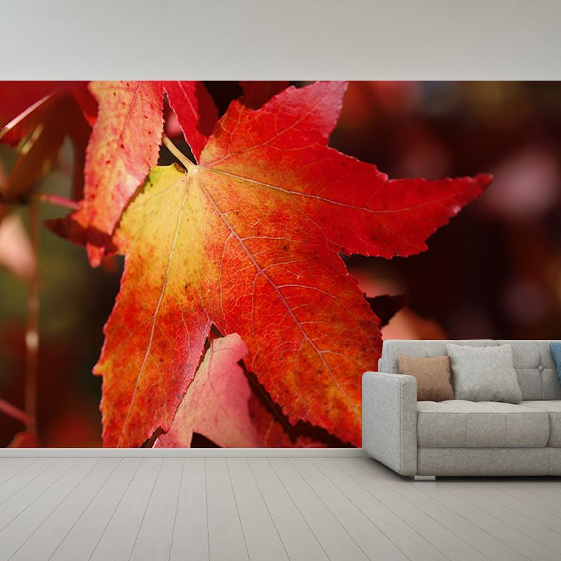 Autumn Leaves Wall Mural Waterproofing Wall Covering for Living Room Bedroom