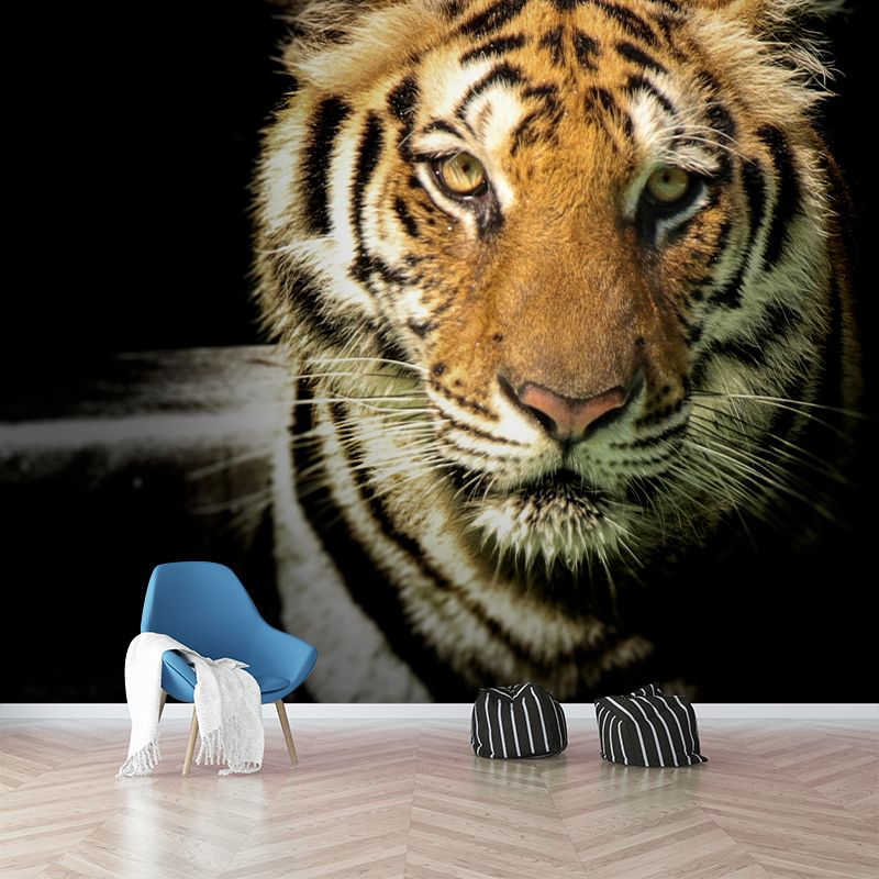 Lion Contemporary Wild Animal Wall Mural Mildew Resistant Wallpaper for Bedroom